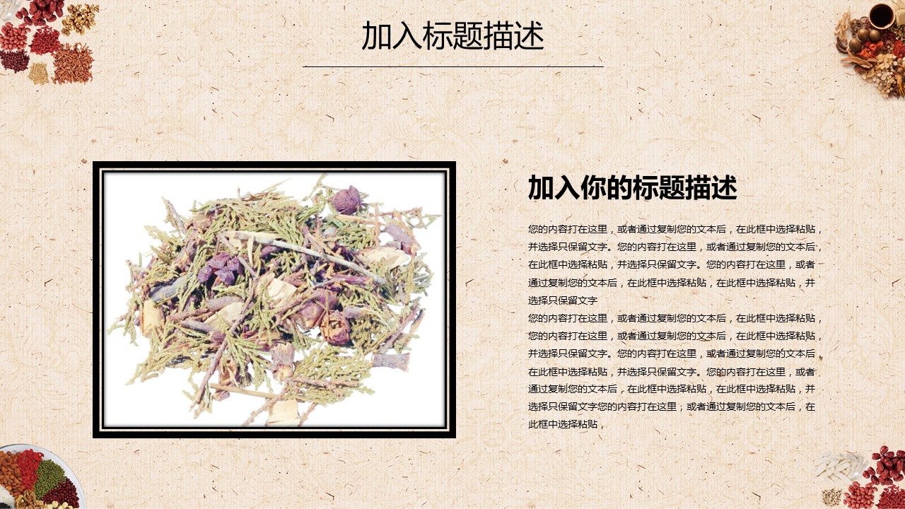 中药医学PPT（二选一）.B197-中药医学PPT.PPT文件及预览图.41的PPT模板-10/30