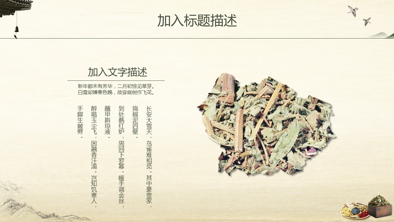 中药医学PPT（二选一）.B197-中药医学PPT.PPT文件及预览图.49的PPT模板-4/30