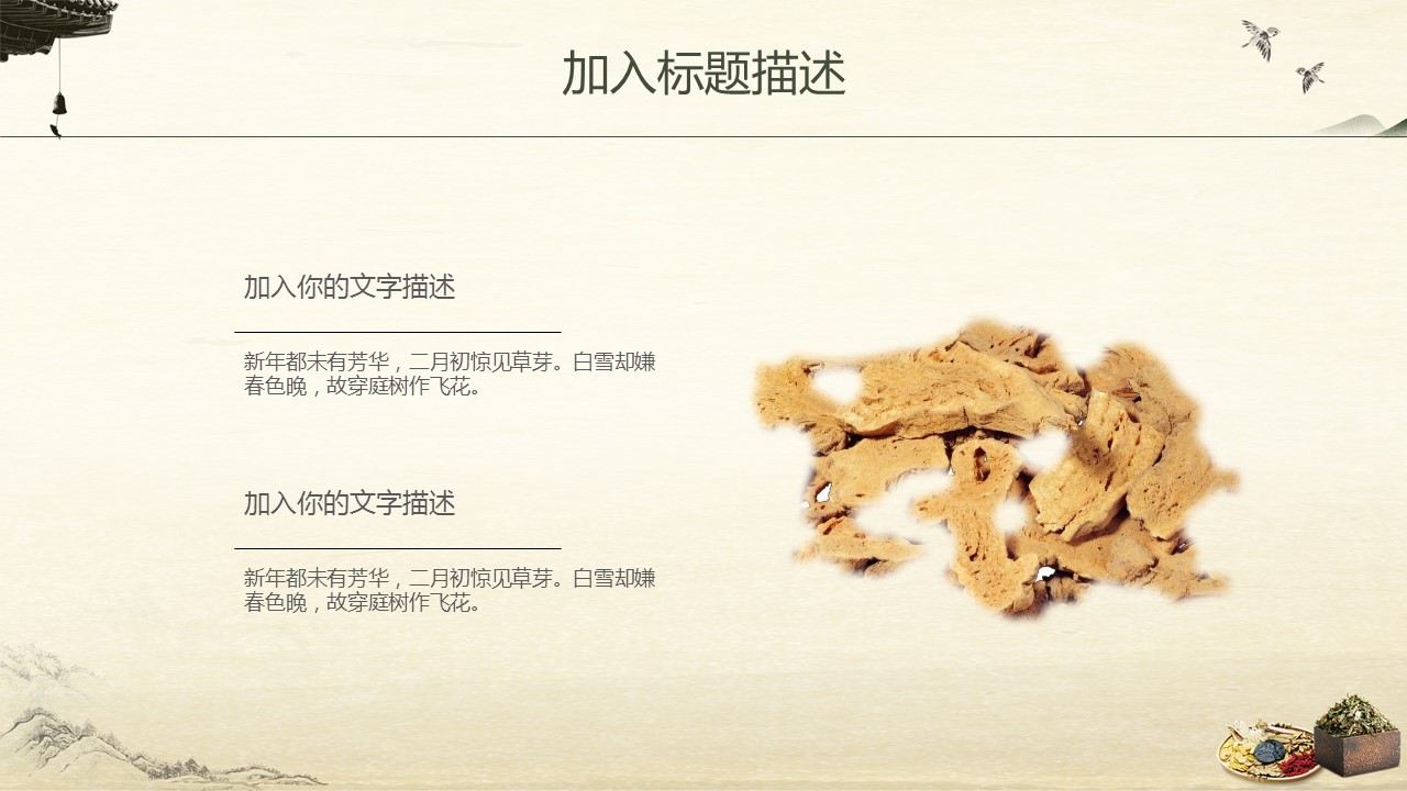 中药医学PPT（二选一）.B197-中药医学PPT.PPT文件及预览图.49的PPT模板-5/30