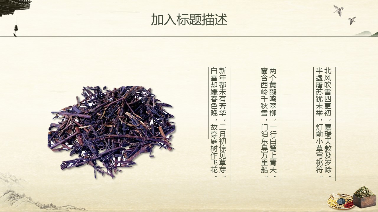 中药医学PPT（二选一）.B197-中药医学PPT.PPT文件及预览图.49的PPT模板-6/30