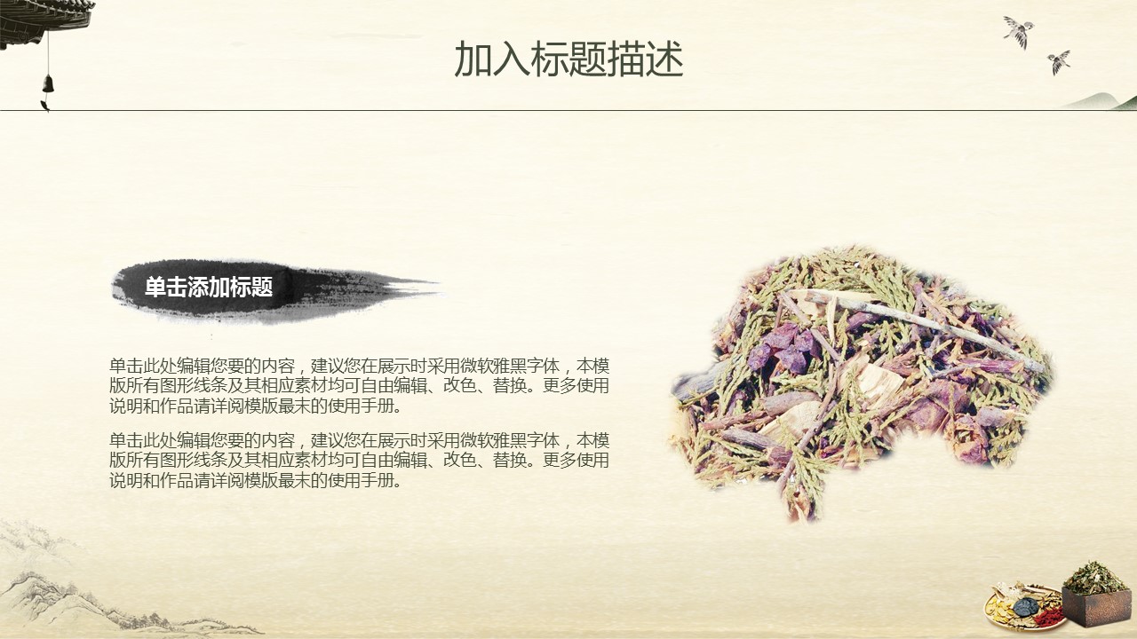 中药医学PPT（二选一）.B197-中药医学PPT.PPT文件及预览图.49的PPT模板-10/30