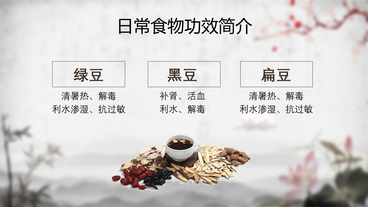中药医学PPT（二选一）.B197-中药医学PPT.PPT文件及预览图.50的PPT模板-10/34
