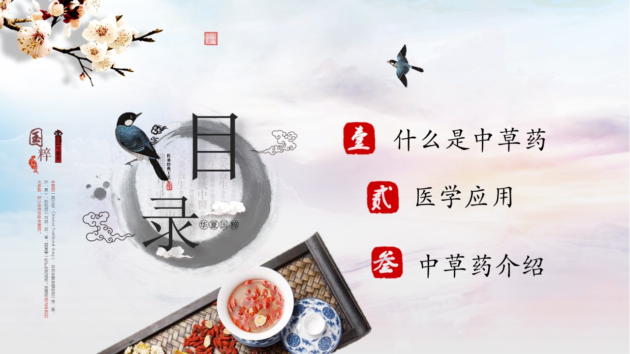 中药医学PPT（二选一）.B197-中药医学PPT.PPT文件及预览图.58的PPT模板-2/30