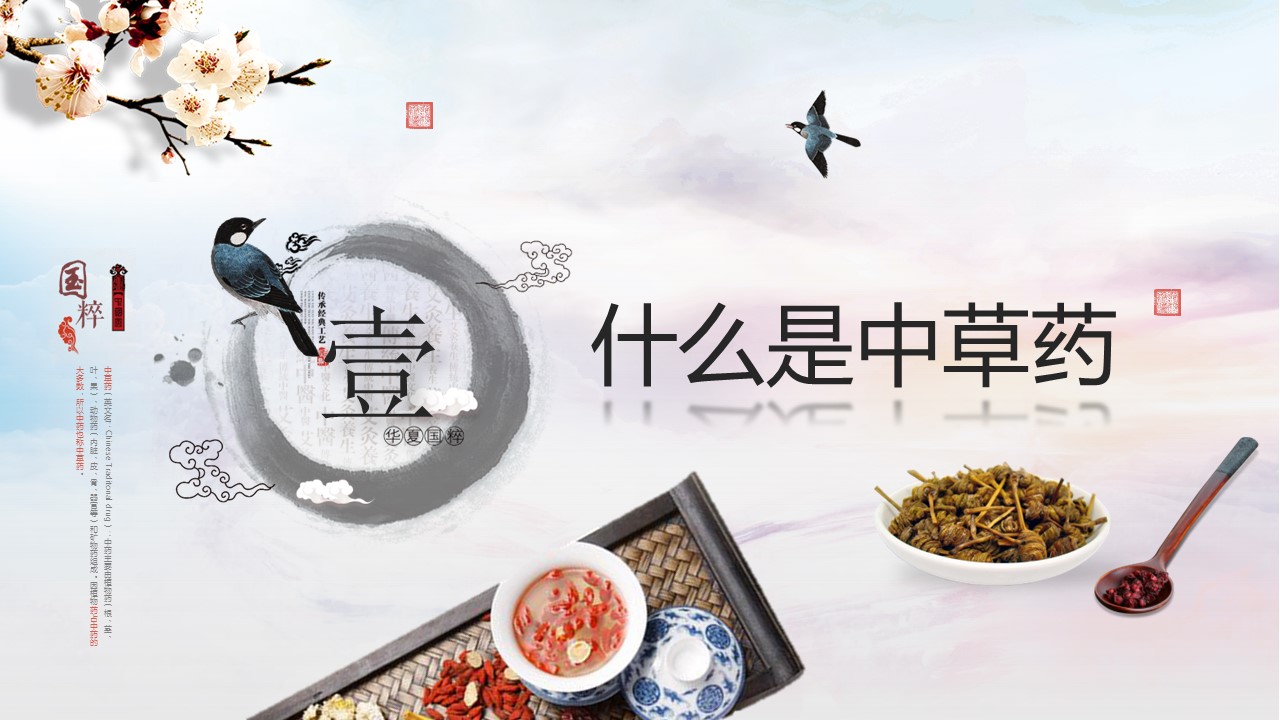 中药医学PPT（二选一）.B197-中药医学PPT.PPT文件及预览图.58的PPT模板-3/30