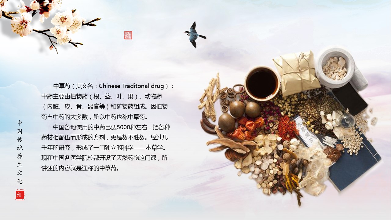 中药医学PPT（二选一）.B197-中药医学PPT.PPT文件及预览图.58的PPT模板-4/30