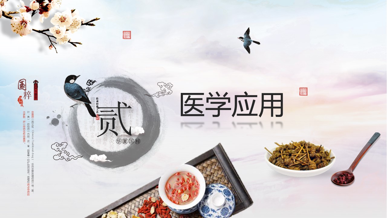 中药医学PPT（二选一）.B197-中药医学PPT.PPT文件及预览图.58的PPT模板-5/30