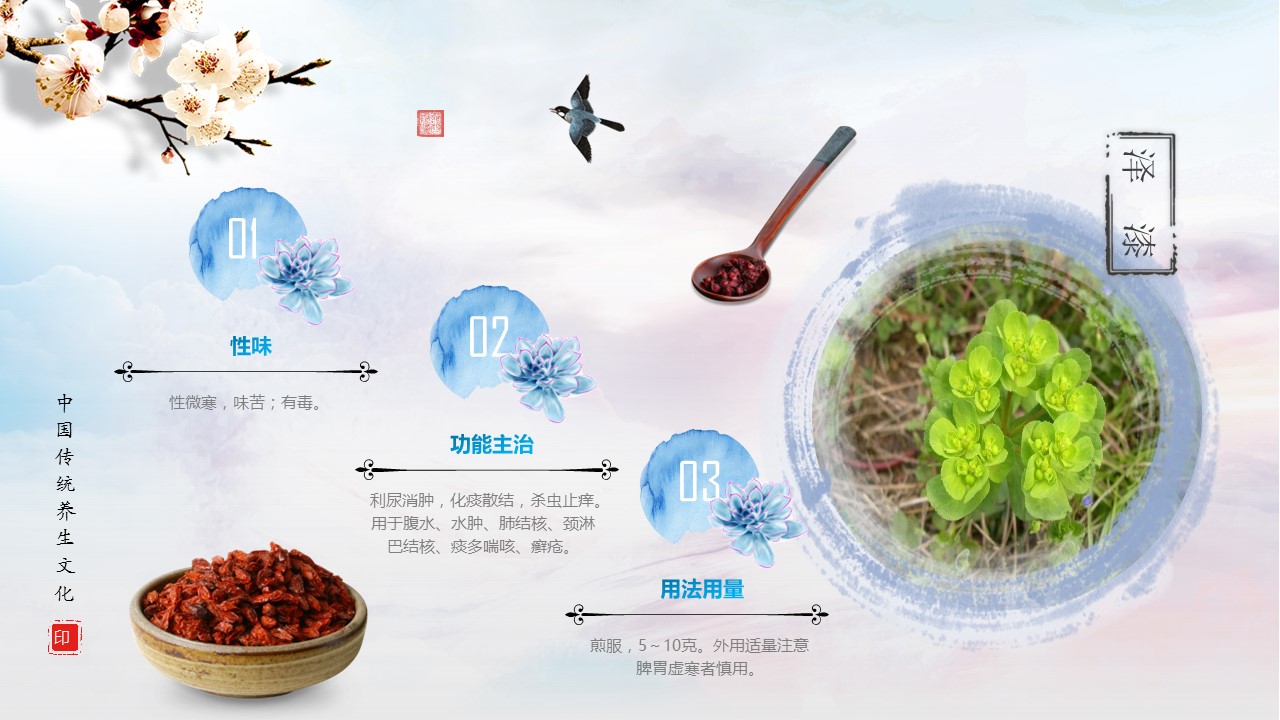 中药医学PPT（二选一）.B197-中药医学PPT.PPT文件及预览图.58的PPT模板-8/30