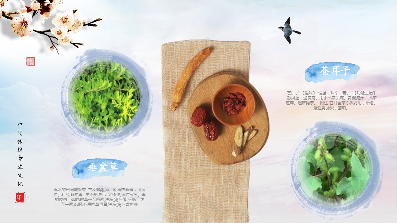 中药医学PPT（二选一）.B197-中药医学PPT.PPT文件及预览图.58的PPT模板-9/30