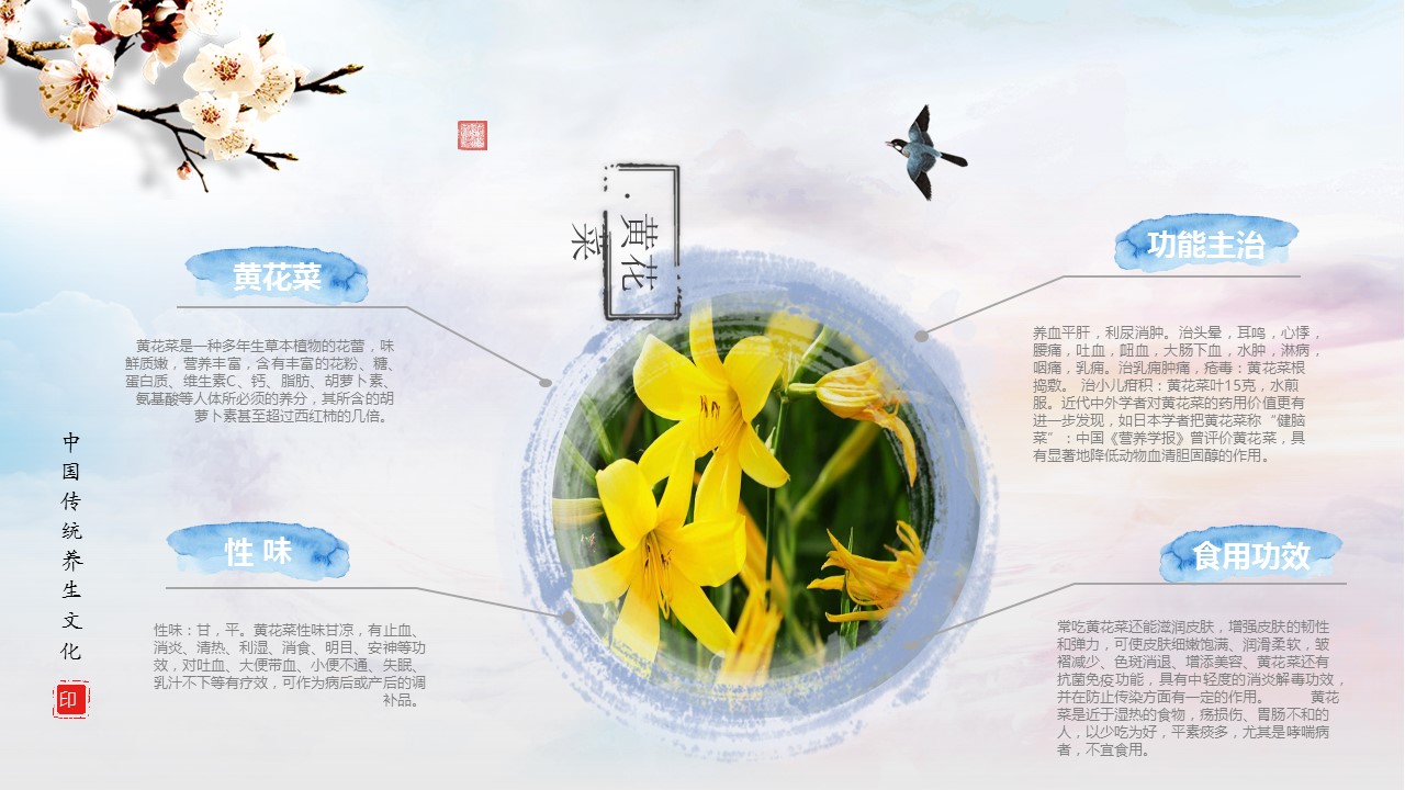 中药医学PPT（二选一）.B197-中药医学PPT.PPT文件及预览图.58的PPT模板-10/30