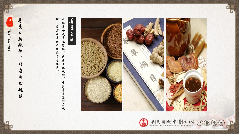 中药医学PPT（二选一）.B197-中药医学PPT.PPT文件及预览图.60的PPT模板-5/47