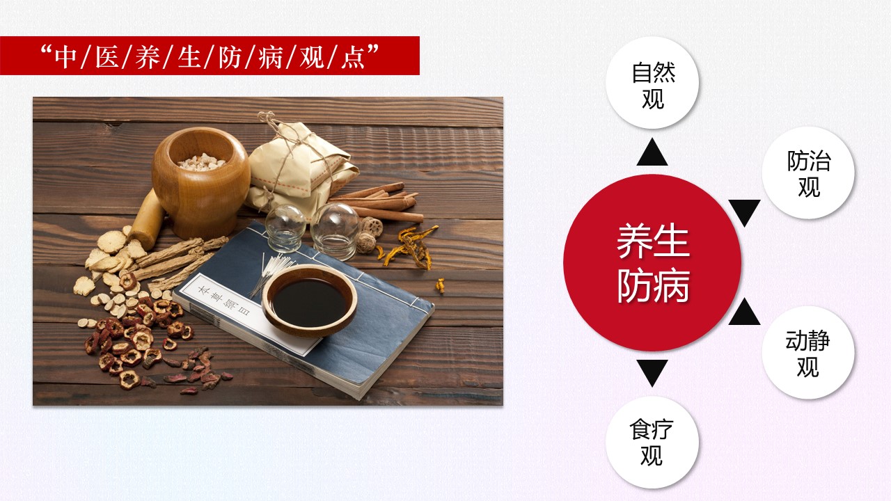 中药医学PPT（二选一）.B197-中药医学PPT.PPT文件及预览图.61的PPT模板-9/29