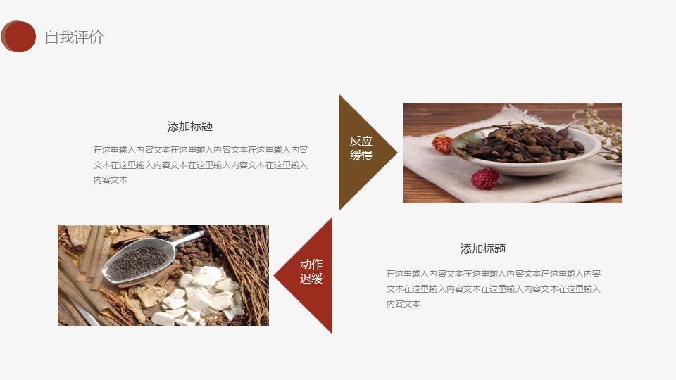 中药医学PPT（二选一）.B197-中药医学PPT.PPT文件及预览图.65的PPT模板-10/27