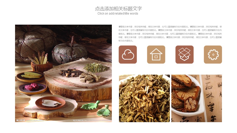 中药医学PPT（二选一）.B197-中药医学PPT.PPT文件及预览图.77的PPT模板-7/30