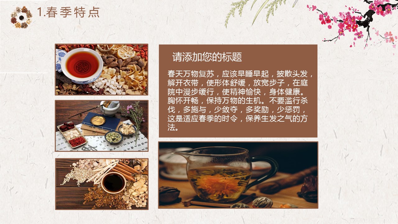中药医学PPT（二选一）.B197-中药医学PPT.PPT文件及预览图.78的PPT模板-4/34