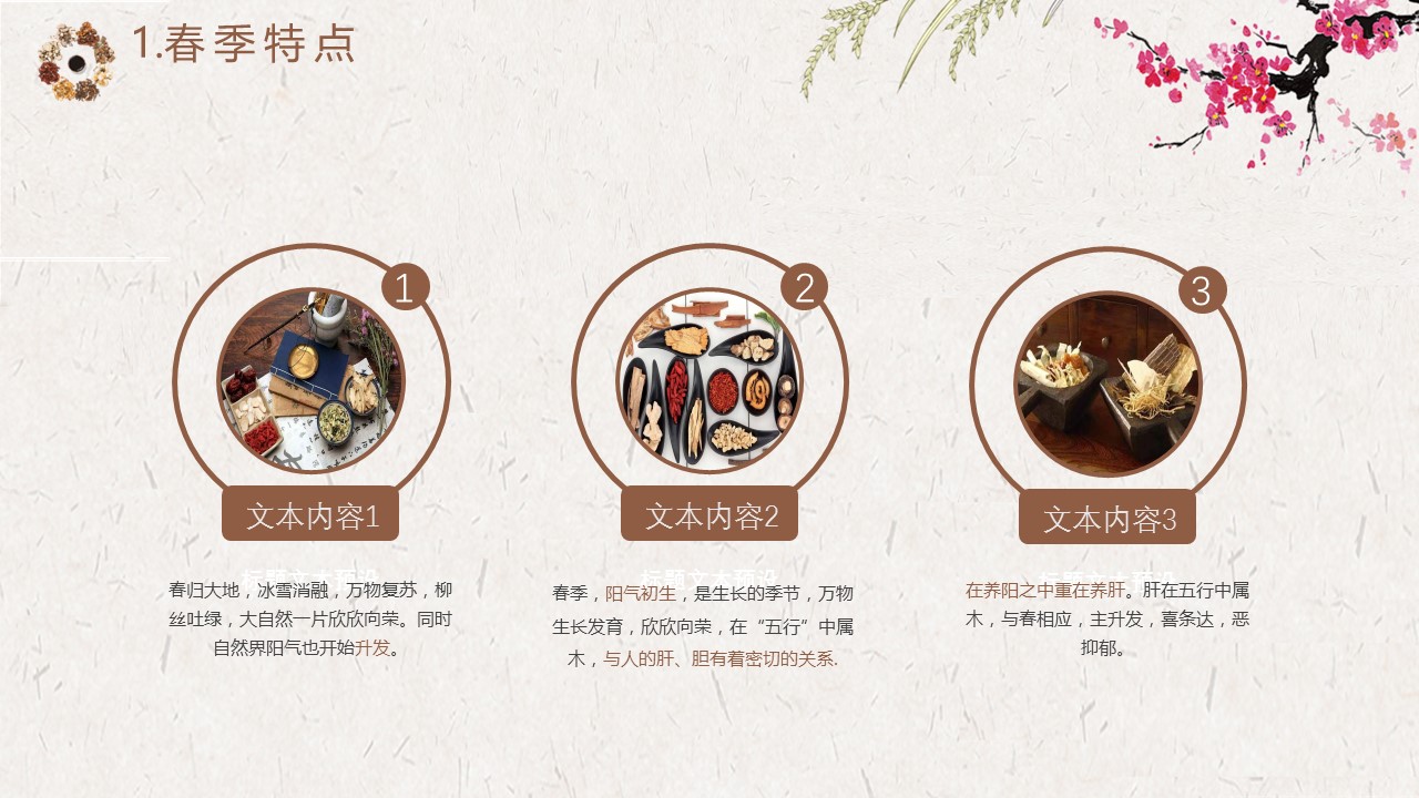 中药医学PPT（二选一）.B197-中药医学PPT.PPT文件及预览图.78的PPT模板-5/34