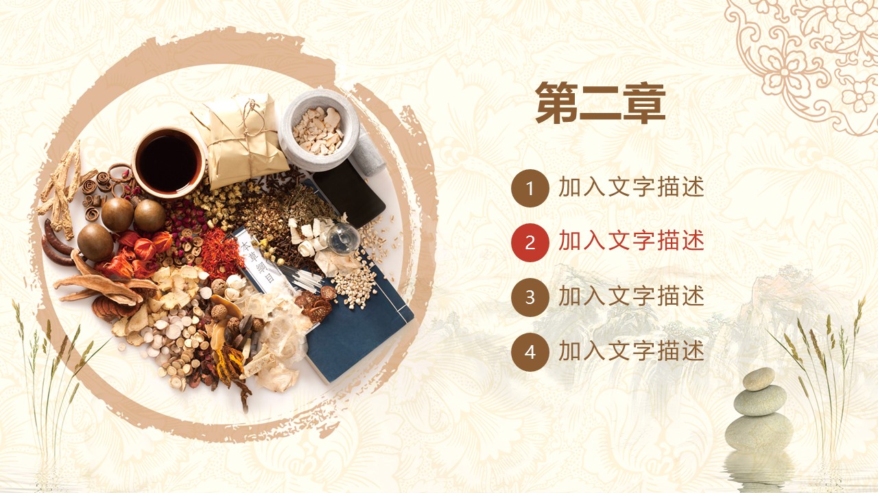 中药医学PPT（二选一）.B197-中药医学PPT.页面描述文件.10的PPT模板-9/30