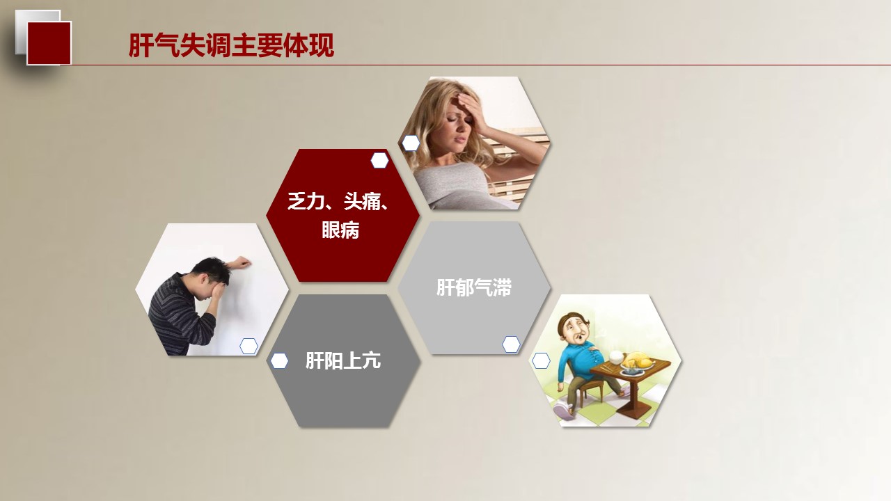 中药医学PPT（二选一）.B197-中药医学PPT.页面描述文件.11的PPT模板-5/37
