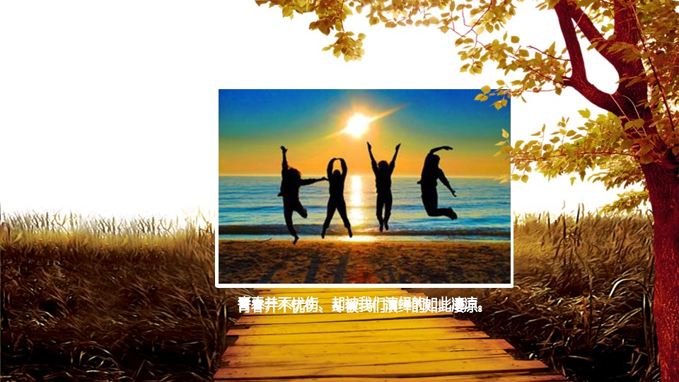 怀旧青春同学会PPT合集.H001青春同学会PPT-008的PPT模板-5/21