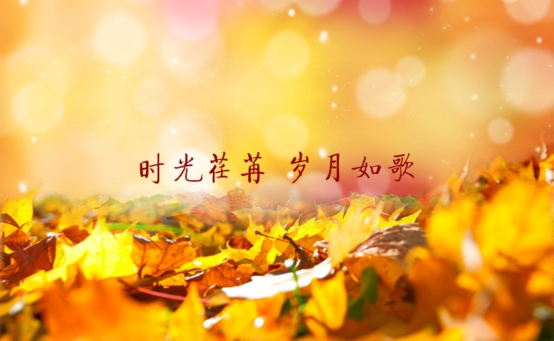 怀旧青春同学会PPT合集.H001青春同学会PPT-010的PPT模板-1/15