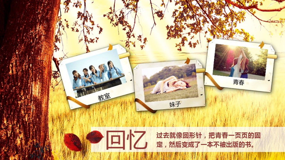 怀旧青春同学会PPT合集.H001青春同学会PPT-012的PPT模板-3/19