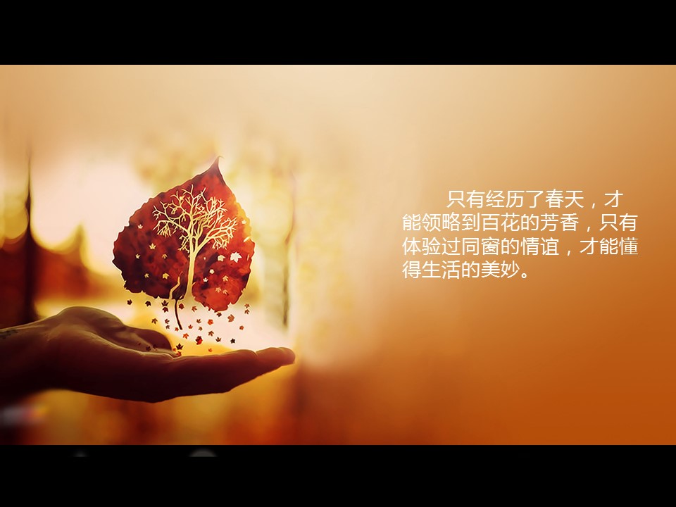 怀旧青春同学会PPT合集.H001青春同学会PPT-015的PPT模板-2/19