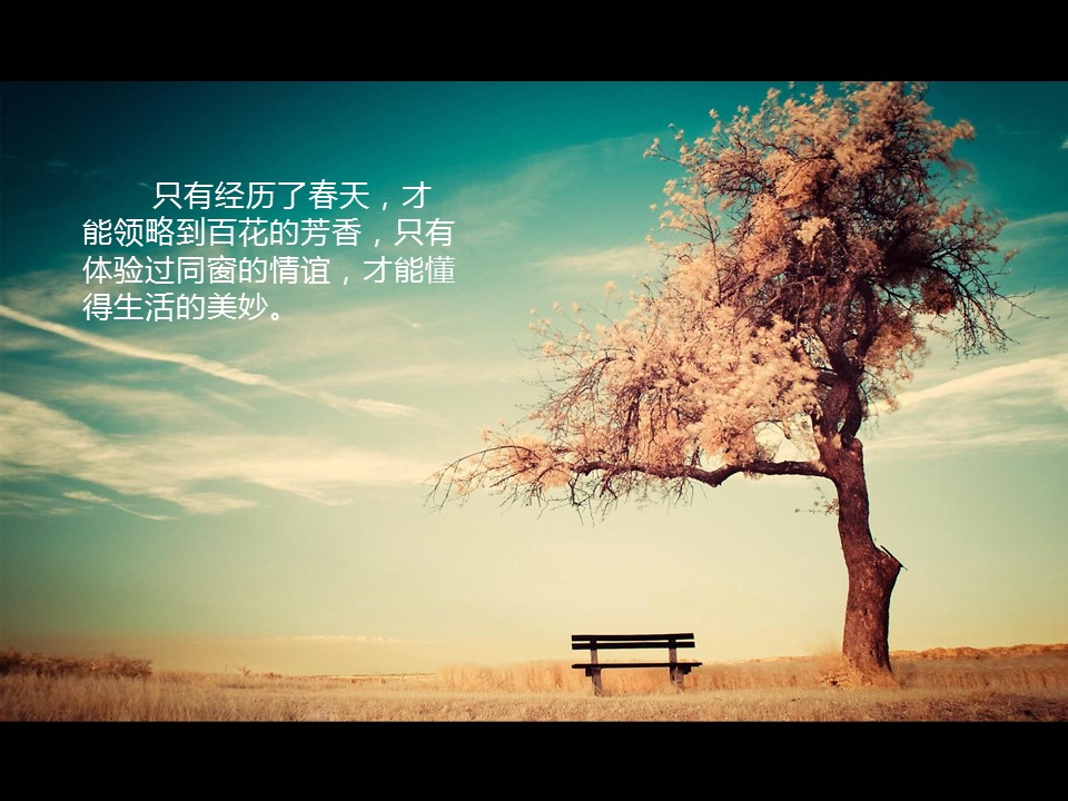 怀旧青春同学会PPT合集.H001青春同学会PPT-017的PPT模板-2/19