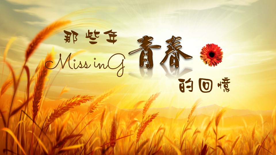 怀旧青春同学会PPT合集.H001青春同学会PPT-030的PPT模板-1/25