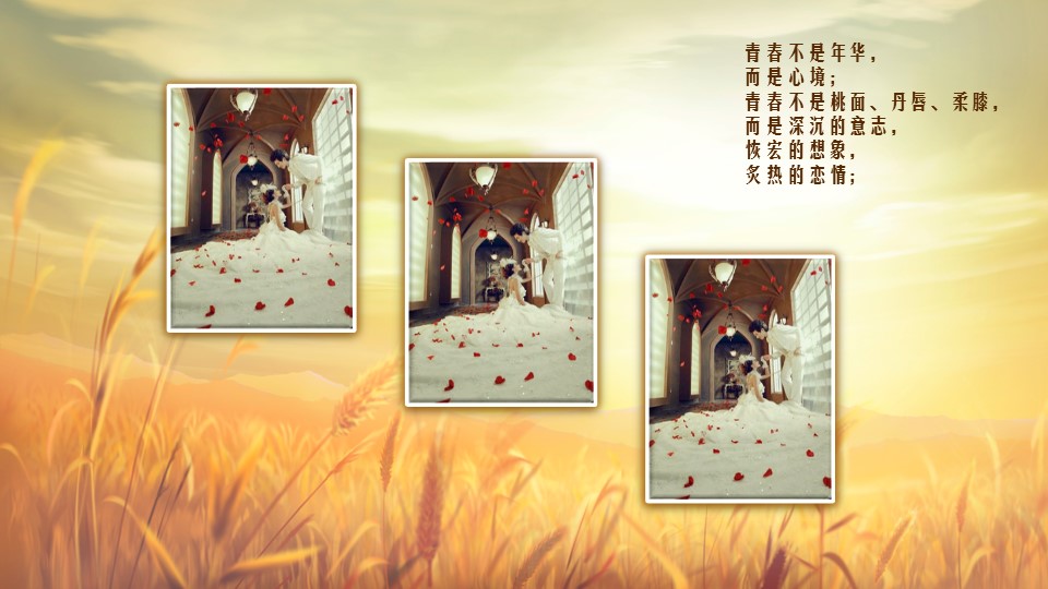 怀旧青春同学会PPT合集.H001青春同学会PPT-030的PPT模板-2/25