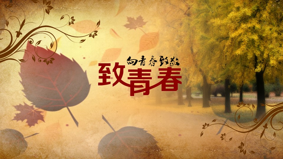 怀旧青春同学会PPT合集.H001青春同学会PPT-031的PPT模板-1/13