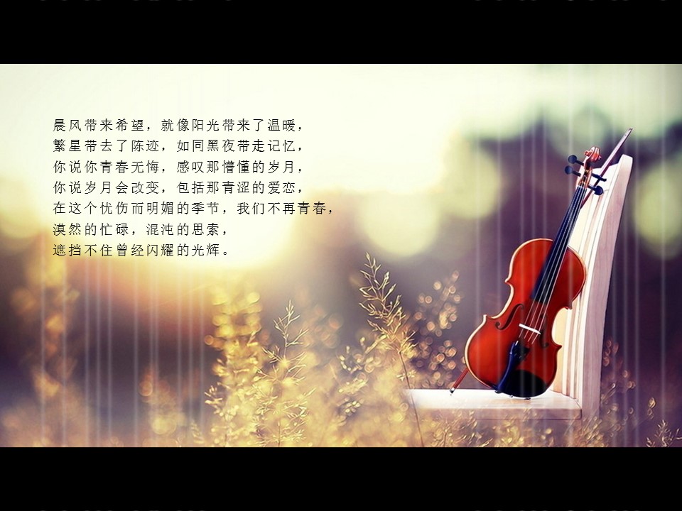 怀旧青春同学会PPT合集.H001青春同学会PPT-035的PPT模板-2/19