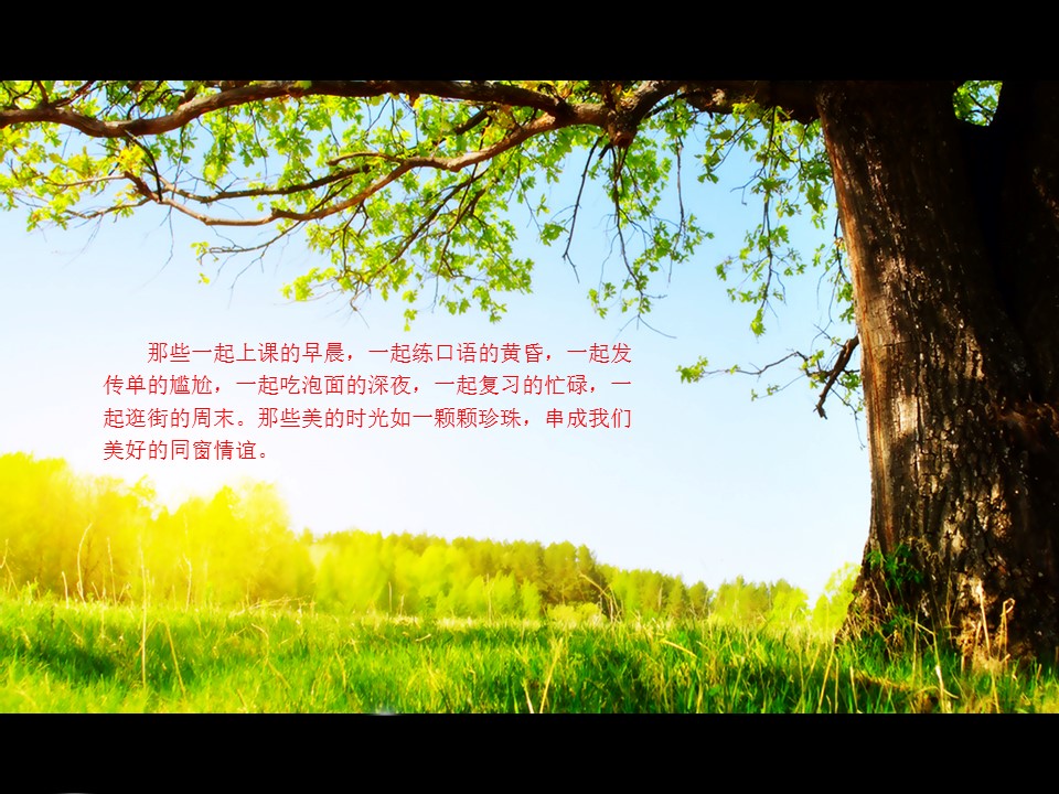 同学会.02-动态同学聚会模板.同学聚会-.青春同学聚会模板 10的PPT模板-9/25