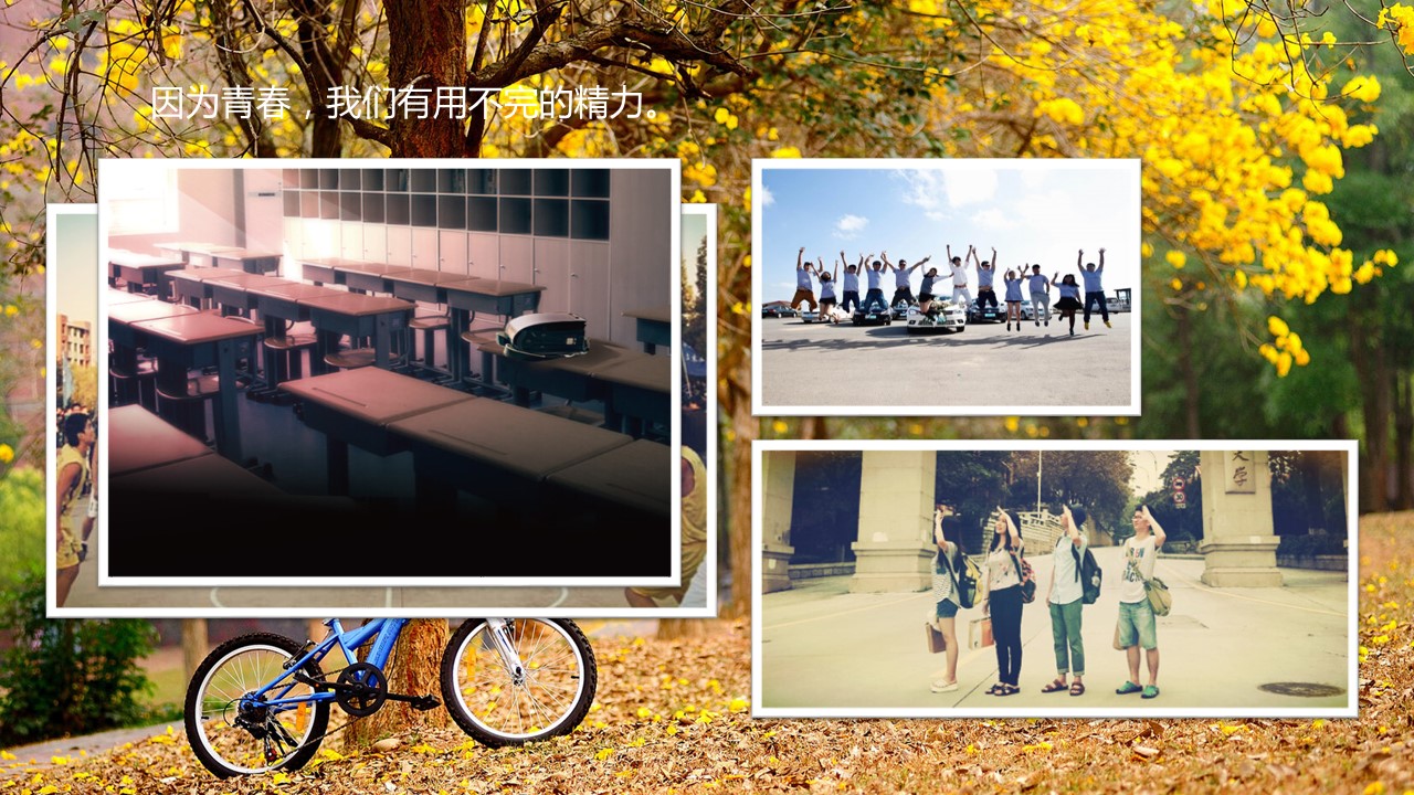 同学会.02-动态同学聚会模板.同学聚会-.PPT模板.青春同学聚会模板 12的PPT模板-8/17