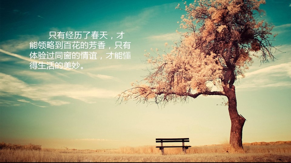 同学会.02-动态同学聚会模板.同学聚会-.PPT模板.青春同学聚会模板 33的PPT模板-5/30