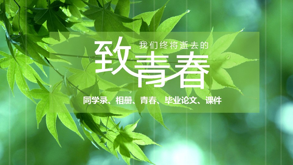 同学会.03-毕业季相册PPT模板.青春毕业季模板47款（一）.A1 2