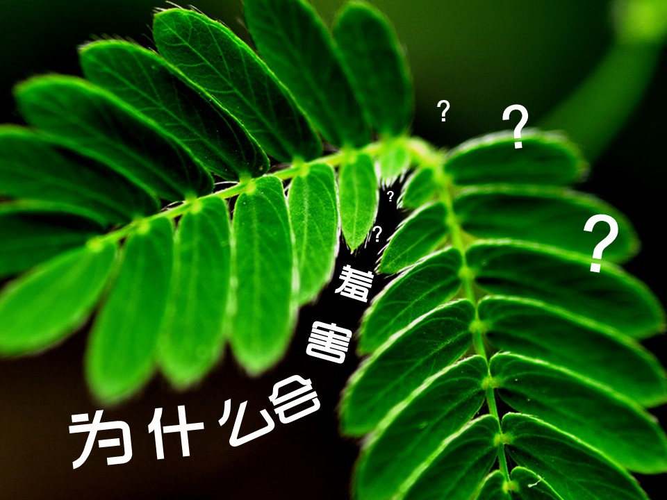 新增精品卡通可爱儿童ppt.静态.K001卡通儿童PPT-053的PPT模板-5/17