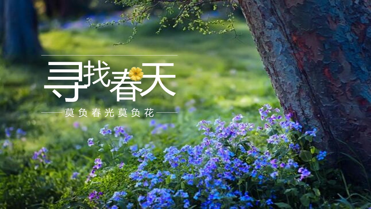 旅游相册.103109唯美旅游度假摄影电子相册PPT模板的PPT模板-1/25