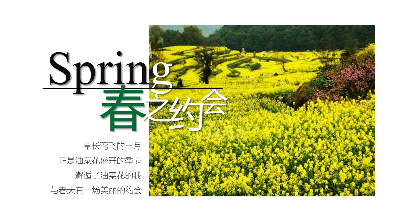 旅游相册.103109唯美旅游度假摄影电子相册PPT模板的PPT模板-2/25
