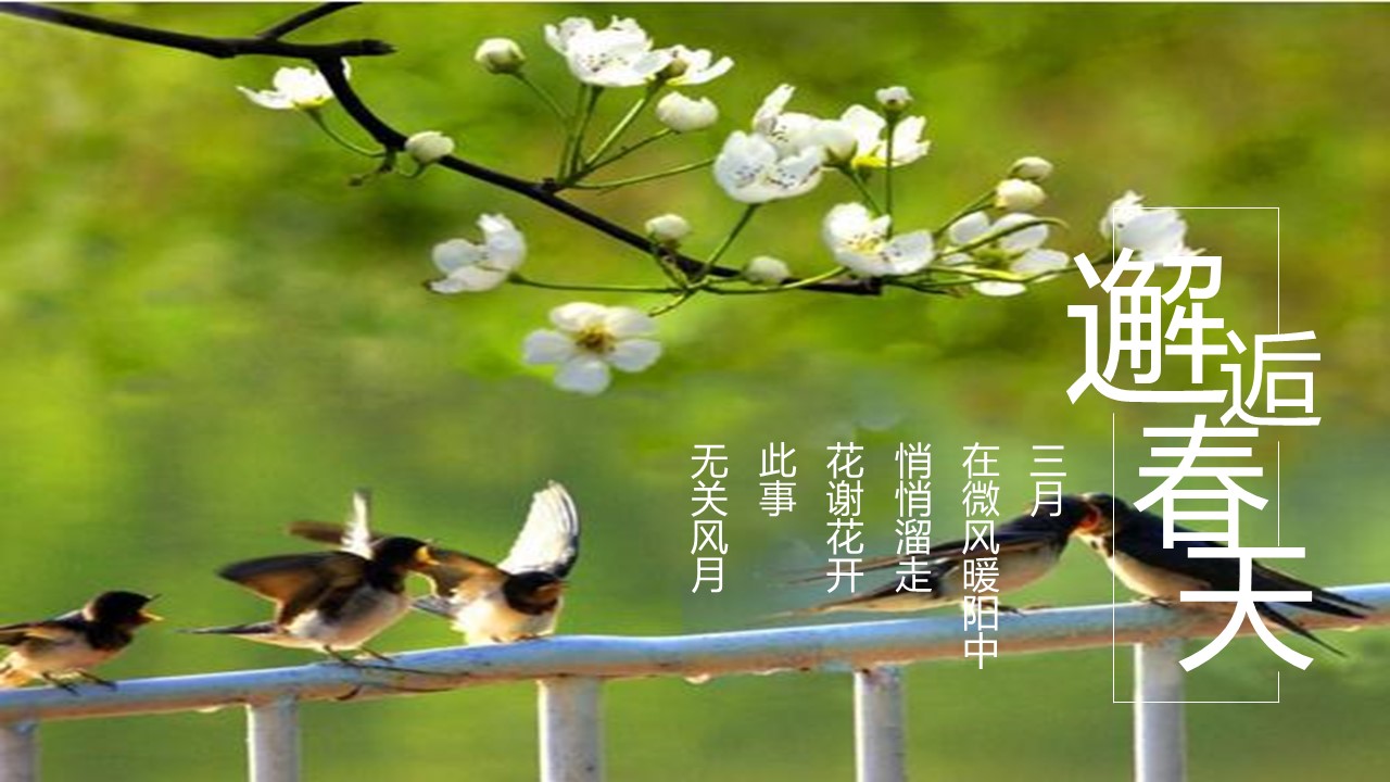 旅游相册.103109唯美旅游度假摄影电子相册PPT模板的PPT模板-3/25