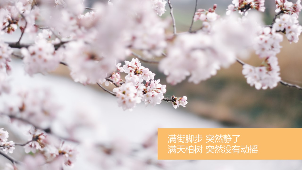 旅游相册.16M的PPT模板-4/27