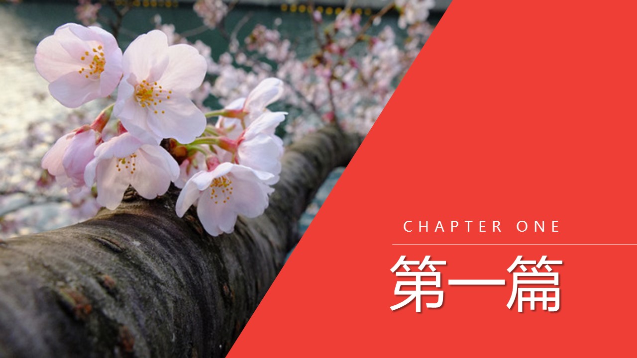 旅游相册.18M的PPT模板-3/27
