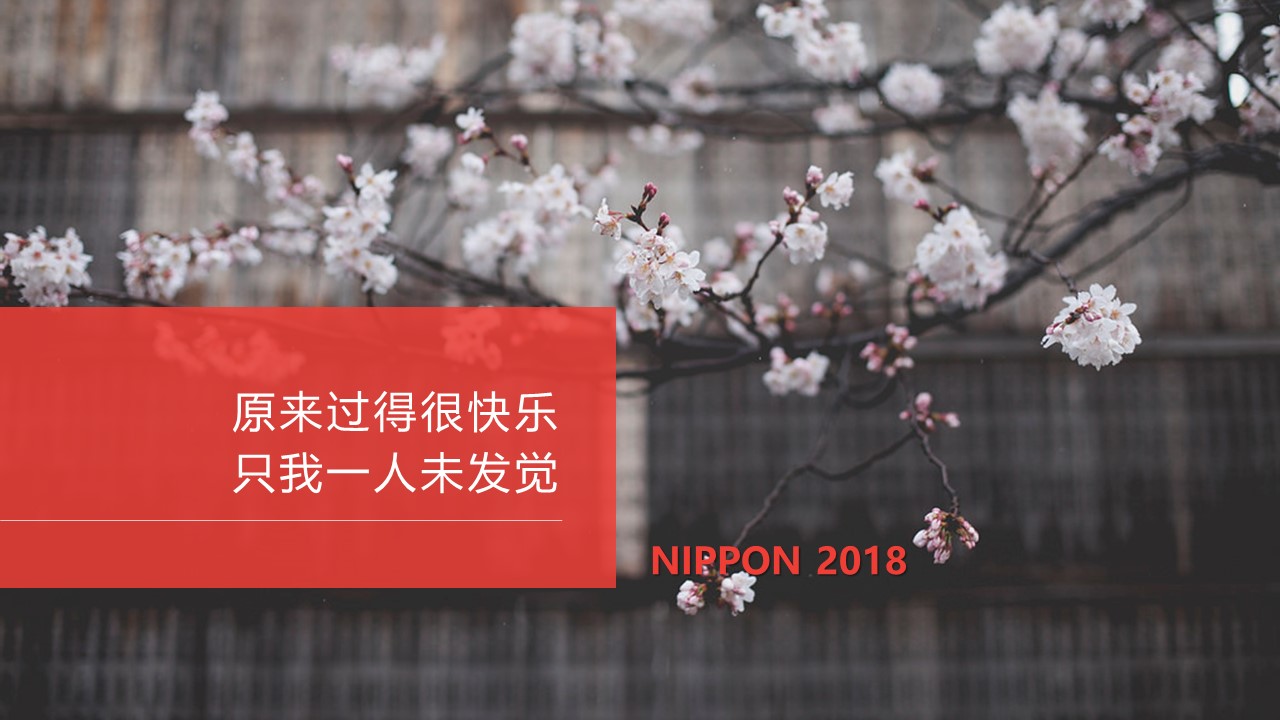 旅游相册.18M的PPT模板-5/27