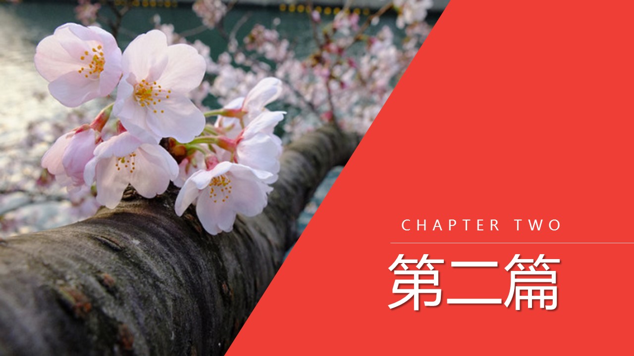 旅游相册.18M的PPT模板-8/27