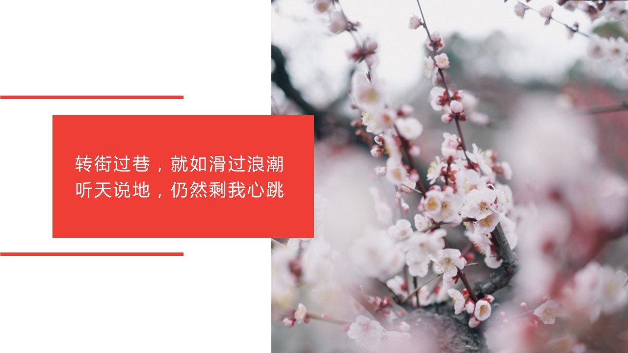 旅游相册.18M的PPT模板-9/27