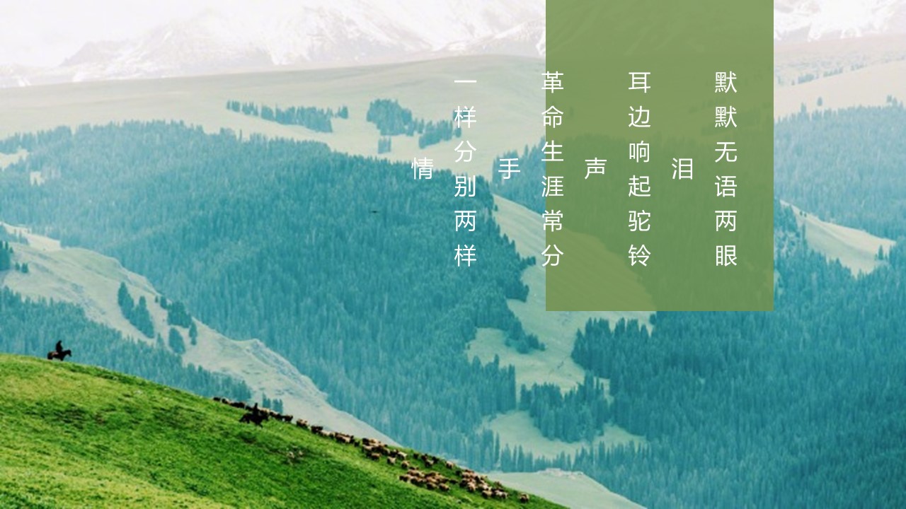 旅游相册.24M的PPT模板-9/27