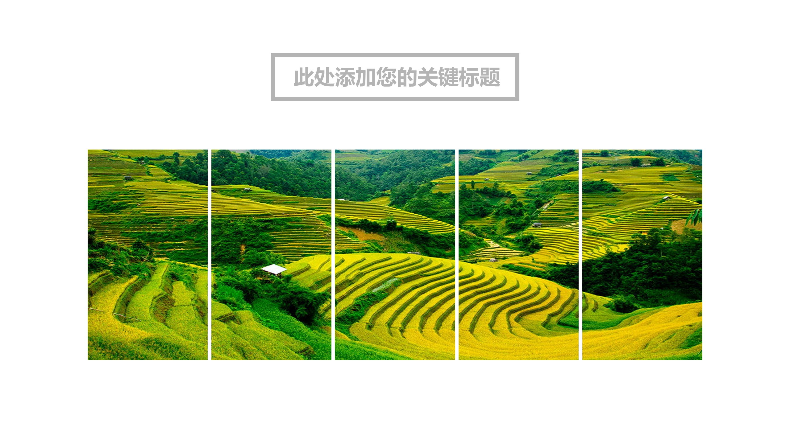 旅游相册.36M的PPT模板-8/32