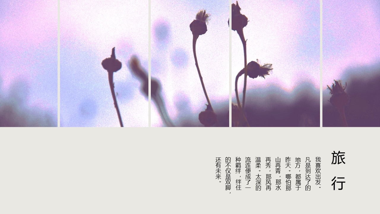 旅游相册.51M的PPT模板-6/30