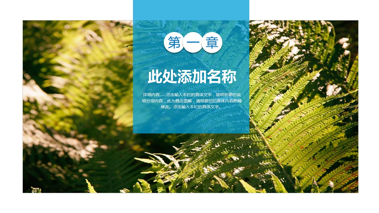 旅游相册.70M的PPT模板-3/32