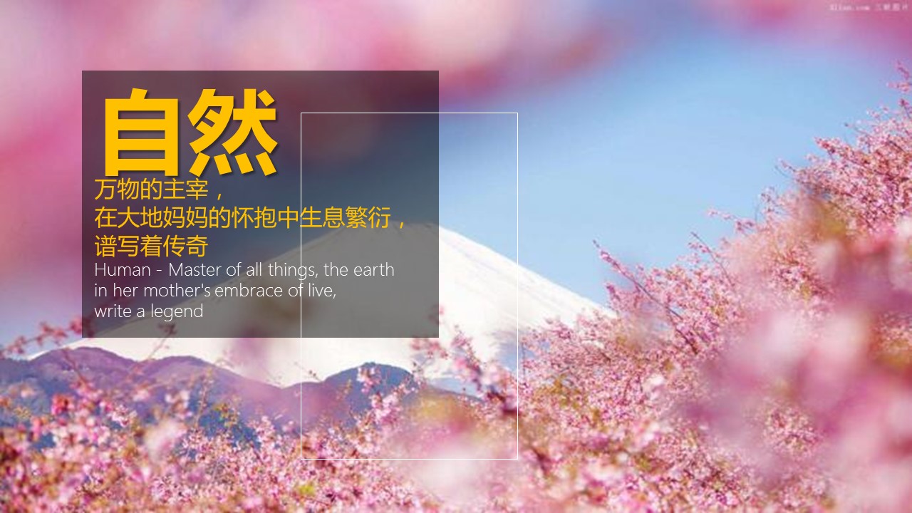 旅游相册.74M的PPT模板-4/26