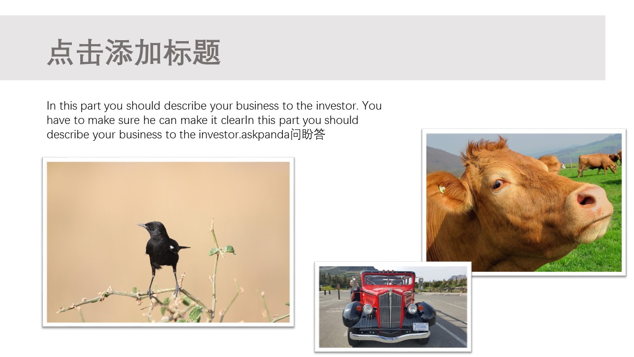 旅游相册.92107旅行相册图片展示相册PPT模板的PPT模板-7/25