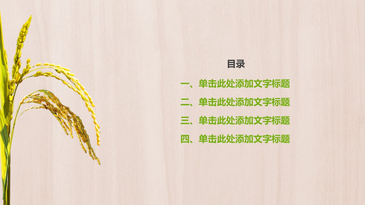 餐饮 13的PPT模板-2/33